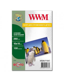 Папір WWM 10x15 (MS260.F100/C)