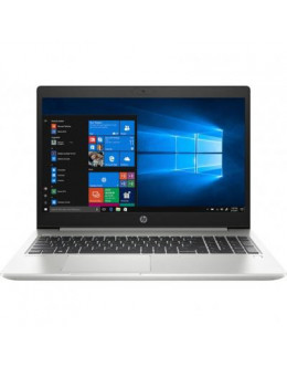 Ноутбук HP ProBook450G7 (6YY23AV_V12)