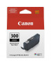 Картридж Canon PFI-300 Matte Black (4192C001)