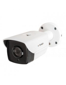 Камера відеоспостереження Tecsar AHDW-100F2M-light (9625)